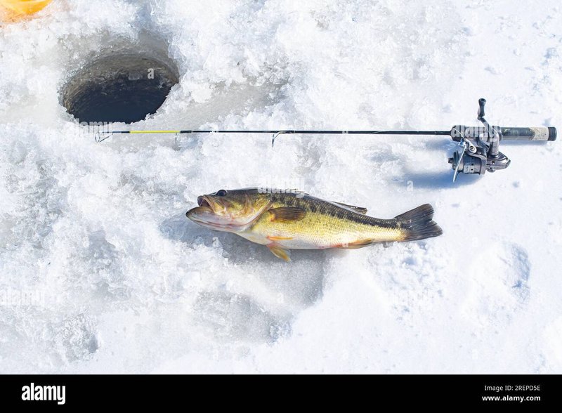 Catch the Thrill of Ice Fishing Live Casino in the UK Tonight - overview